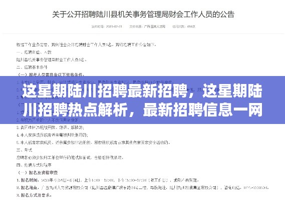 陆川本周招聘热点解析，最新招聘信息一网打尽