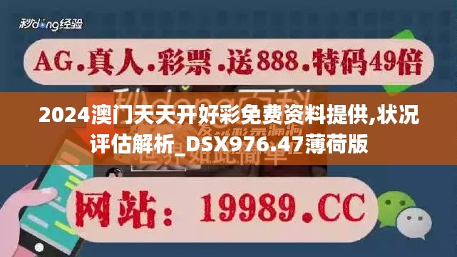 2024澳门天天开好彩免费资料提供,状况评估解析_DSX976.47薄荷版