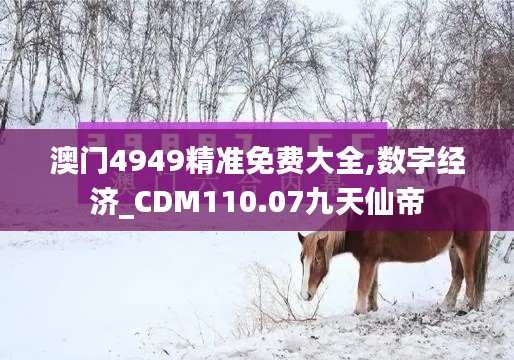 澳门4949精准免费大全,数字经济_CDM110.07九天仙帝