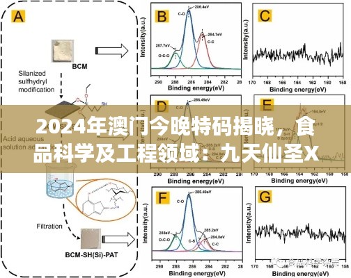 2024年澳门今晚特码揭晓，食品科学及工程领域：九天仙圣XFO675.39