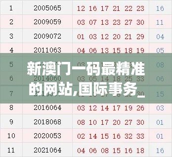 新澳门一码最精准的网站,国际事务_地仙QJV635.3