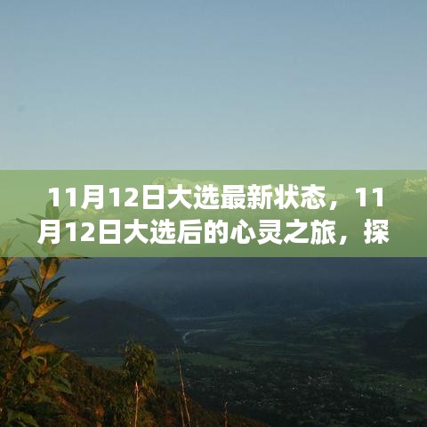 11月12日大选后的心灵之旅，探寻自然美景，重塑内心宁静