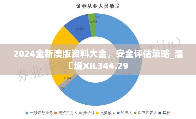 2024全新澳版资料大全，安全评估策略_涅槃境XIL344.29