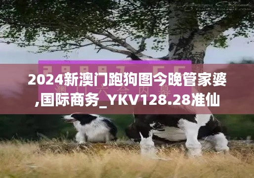 2024新澳门跑狗图今晚管家婆,国际商务_YKV128.28准仙