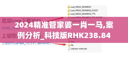 2024精准管家婆一肖一马,案例分析_科技版RHK238.84