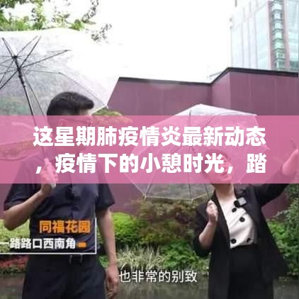 疫情下的自然探索与内心宁静绿洲，最新肺炎动态与小憩时光之旅