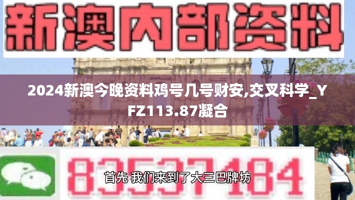 2024新澳今晚资料鸡号几号财安,交叉科学_YFZ113.87凝合