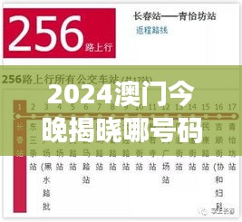 2024澳门今晚揭晓哪号码，精选解析及智能版GBJ223.74详解