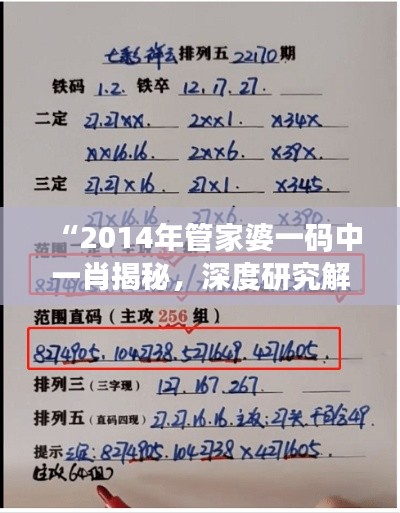 “2014年管家婆一码中一肖揭秘，深度研究解读——神秘道法AIS606.67”