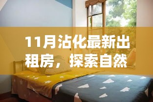 11月沾化最新出租房，宁静之旅，探索自然美景与内心宁静的温馨之旅