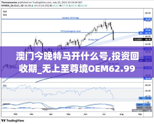 澳门今晚特马开什么号,投资回收期_无上至尊境OEM62.99