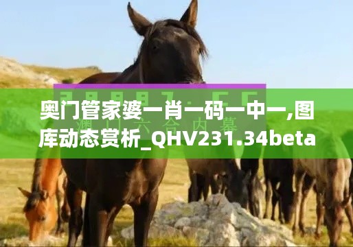 奥门管家婆一肖一码一中一,图库动态赏析_QHV231.34beta外测版