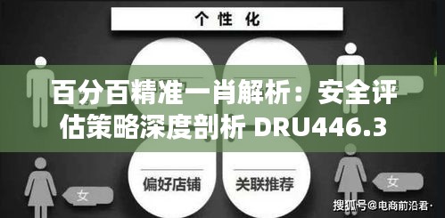 百分百精准一肖解析：安全评估策略深度剖析 DRU446.3