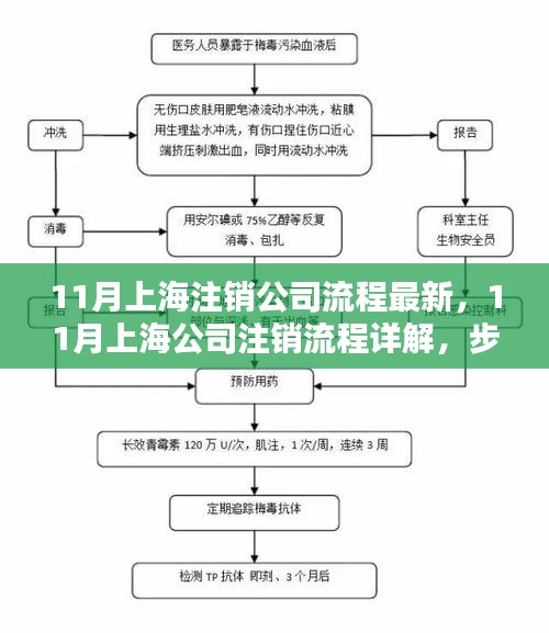 上海公司注销流程详解，步步为营，轻松完成注销任务（最新流程）