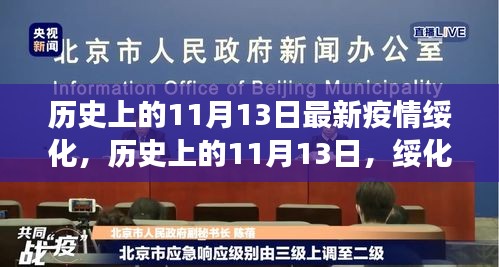 绥化疫情最新进展与历史上的影响洞察，疫情最新进展及影响分析报告（11月13日）