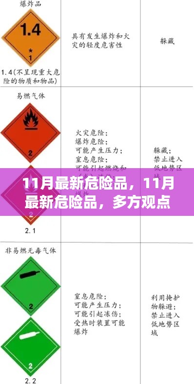 多方观点交织下的探讨与解析，11月最新危险品