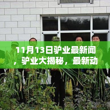 驴业前沿资讯大揭秘，11月13日最新动态与趋势分析