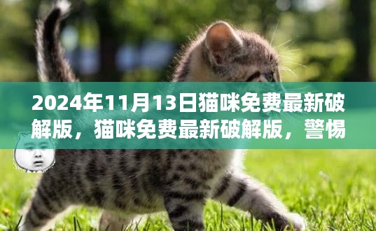 警惕猫咪免费最新破解版背后的风险与犯罪问题