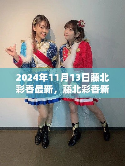 藤北彩香新体验操作指南，2024年11月13日最新指南