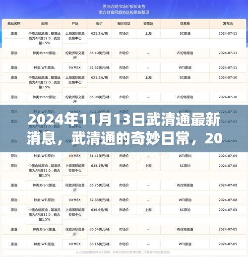 武清通最新消息揭秘，2024年11月13日的奇妙日常与温馨时光