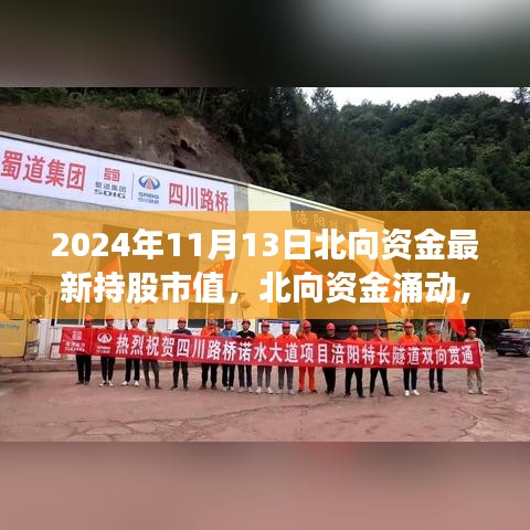 北向资金涌动，揭秘2024年11月13日持股市值新篇章