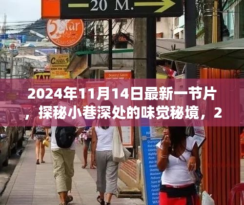 探秘小巷深处的味觉秘境，最新美食天堂揭秘之旅（2024年11月14日最新一节片）