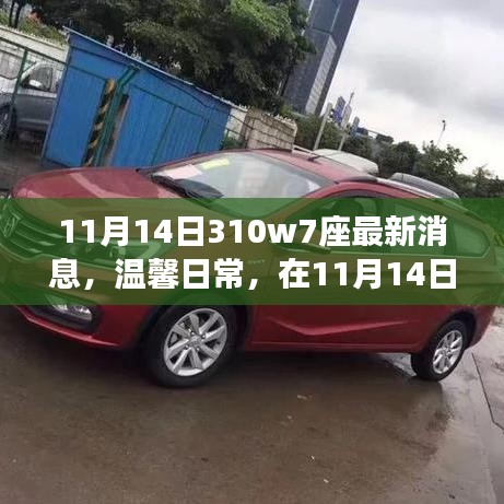 11月14日310w7座最新动态，温馨日常与不解之缘