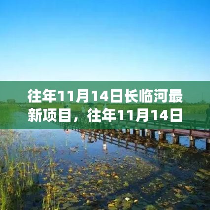 长临河最新项目进展及前景展望，历年11月14日深度解析