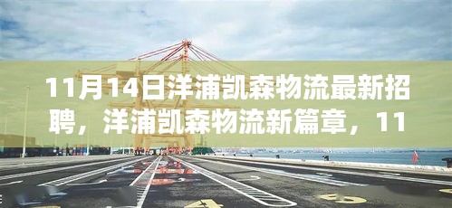 洋浦凯森物流新篇章，11月14日招聘活动深度解析及最新岗位招聘