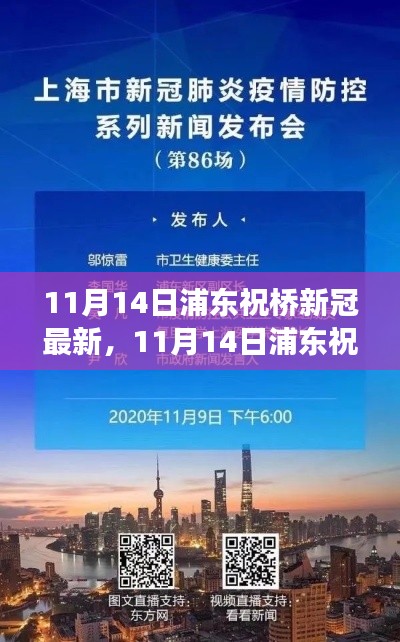 浦东祝桥新冠疫情最新动态与防控进展分析（11月14日更新）