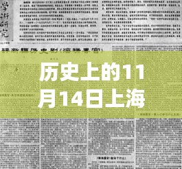 历史上的11月14日，上海遗属补助政策最新解读与观点探讨