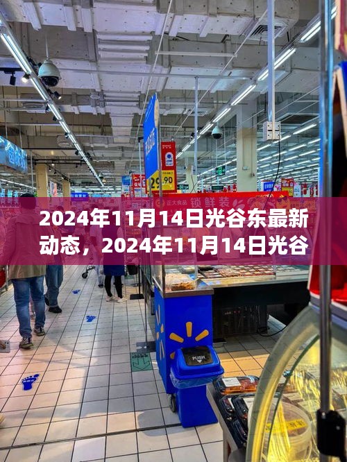 科技与生态的融合，光谷东最新动态揭秘（2024年11月14日）