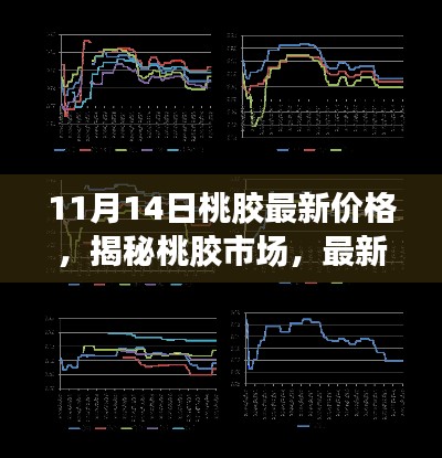 揭秘桃胶市场，最新价格动态与行业洞察（以桃胶价格行情为例）