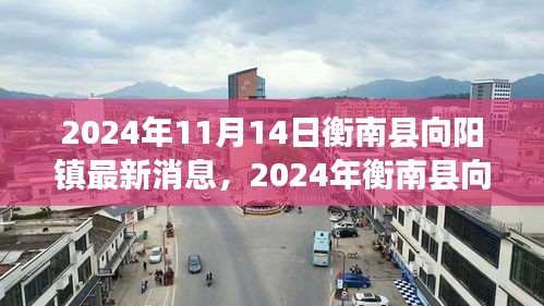 衡南县向阳镇最新发展动态（2024年11月）