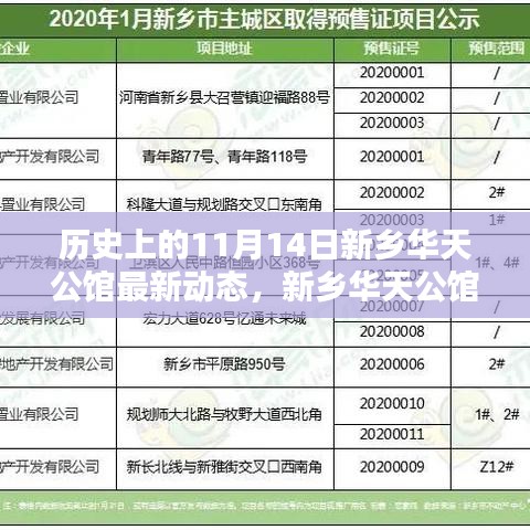 新乡华天公馆11月14日最新动态，温馨日常的回忆绽放