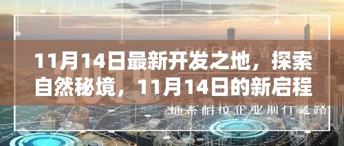 11月14日新启程，探索自然秘境，寻找内心宁静与平和之旅