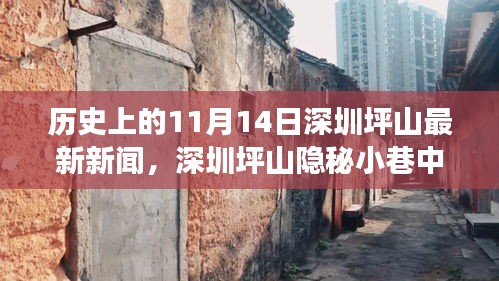 深圳坪山隐秘小巷特色小店传奇故事，味觉奇迹揭秘，11月14日最新新闻速递