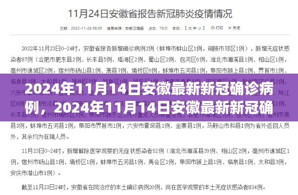 安徽最新新冠确诊病例分析与观察，2024年11月14日最新报告