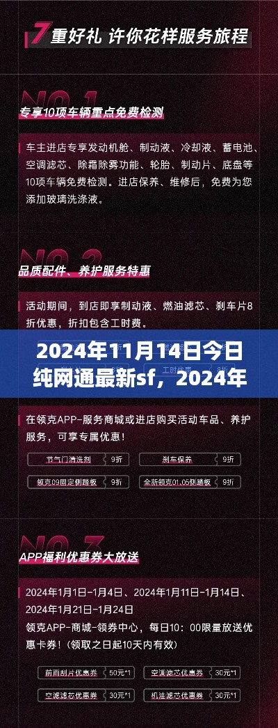 2024年纯网通最新SF攻略指南，从入门到精通的技能全步骤