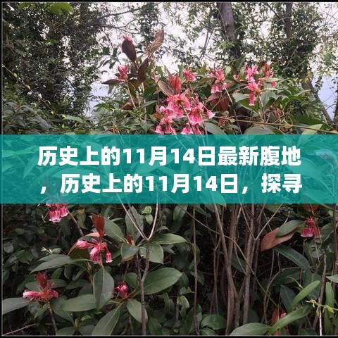 历史上的11月14日，探寻最新腹地，与自然美景共舞的心灵之旅