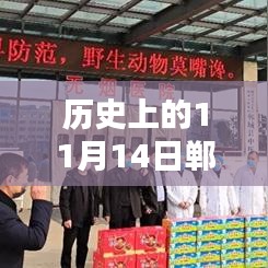 历史上的11月14日与郸城S324最新消息揭秘，小红书深度报道