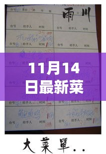 最新菜单本制作指南，手把手教你完成11月14日菜单本设计