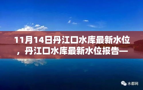 丹江口水库最新水位报告，聚焦1月水位动态更新情况