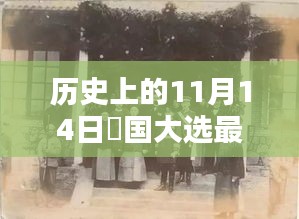 历史上的11月14日羑国大选最新动态，如何关注与参与选举过程