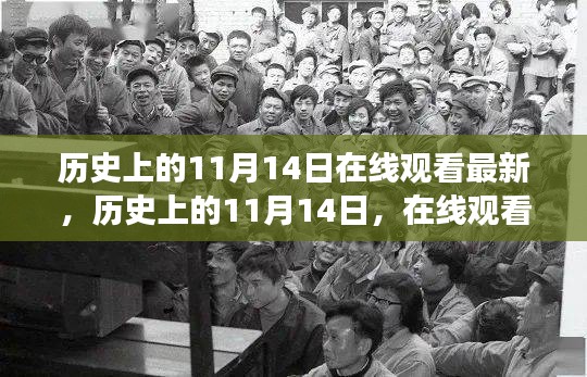 历史上的11月14日，在线观看最新文化演变之旅回顾直播节目