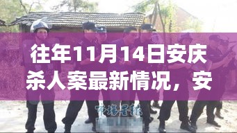 安庆杀人案最新进展与回顾，历年11月14日案件反思