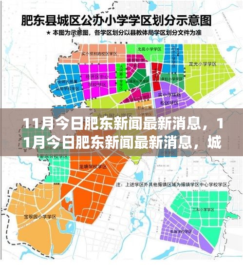 11月肥东新闻最新动态，城市发展的视角与反思