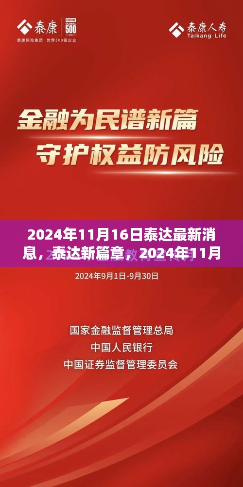 泰达最新动态，2024年11月16日的新篇章与温馨日常