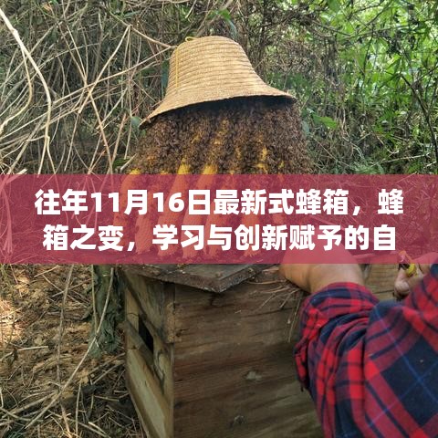 蜂箱之变，学习与创新带来的自信与成就感，最新式蜂箱探索之旅