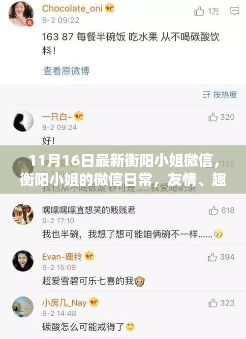 衡阳小姐微信日常，友情、趣事与温暖的十一月时光